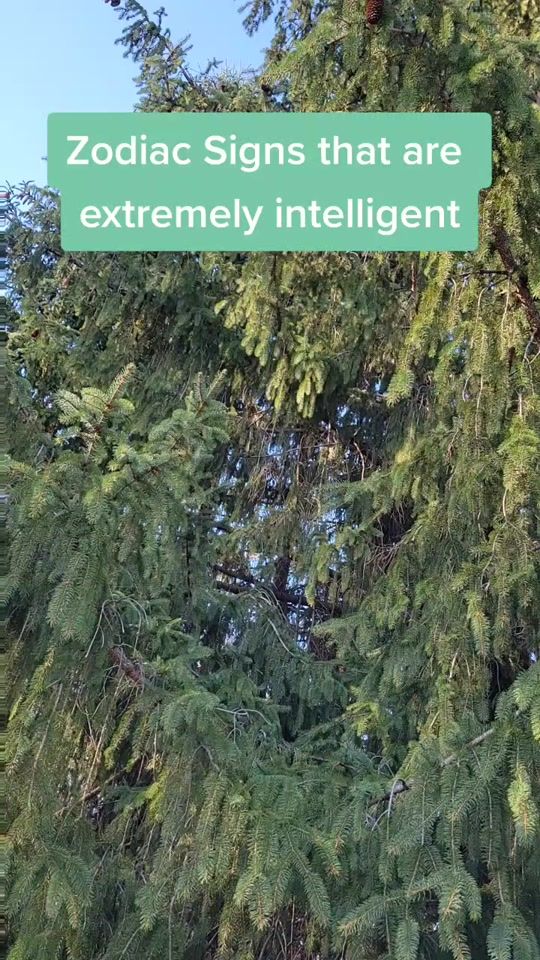 TikTok video thumbnail by zodiacaffirmations