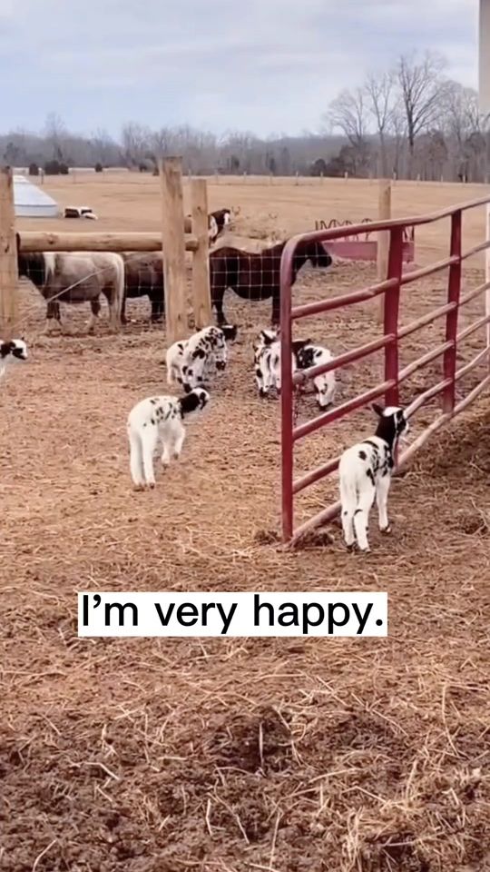 TikTok video thumbnail by cutebaby_065