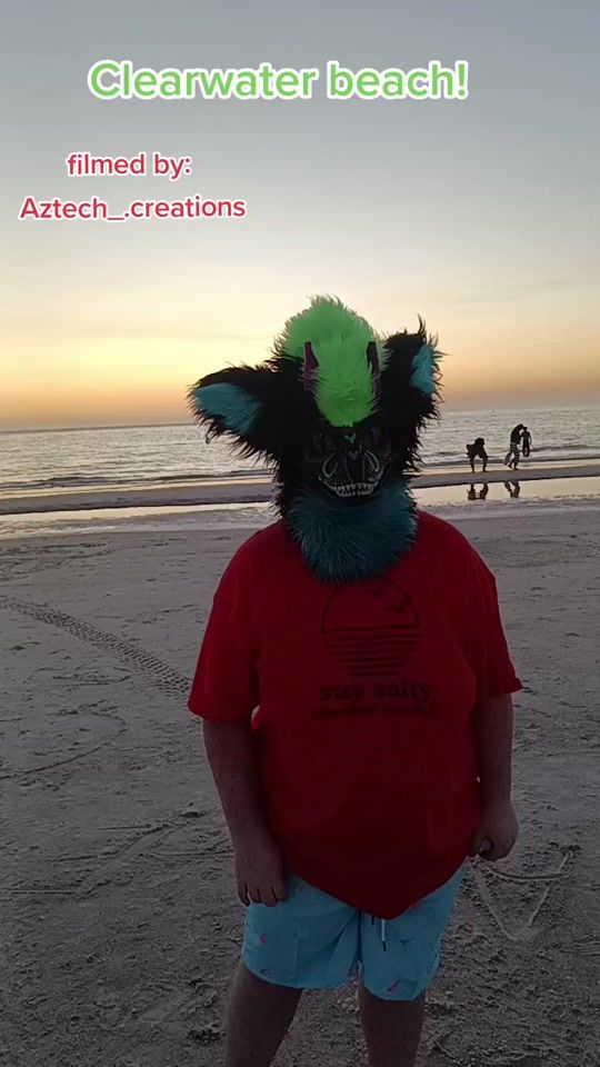 TikTok video thumbnail by salemtheemocat