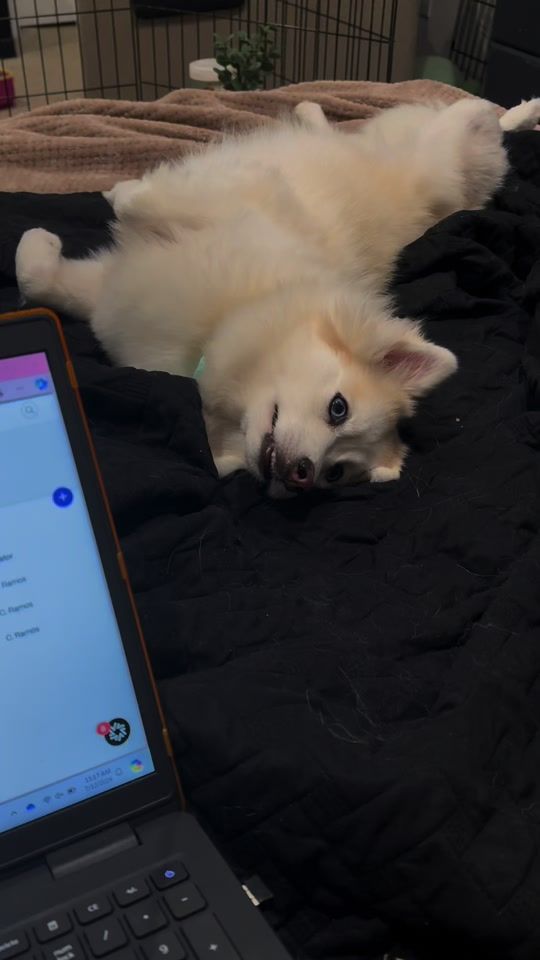TikTok video thumbnail by thea4team