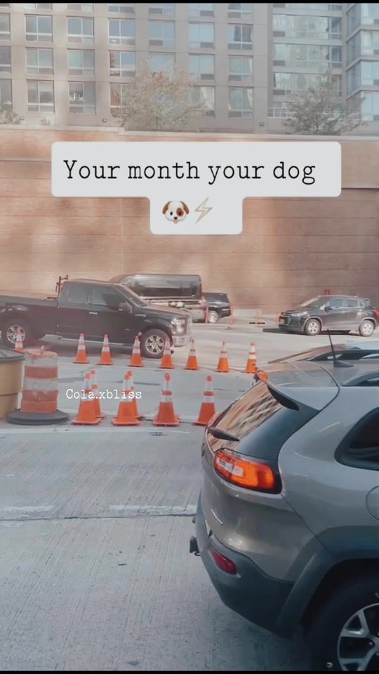 TikTok video thumbnail by cola.xbliss