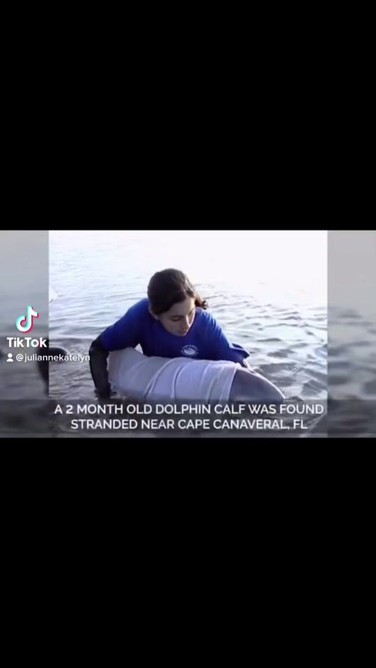 TikTok video thumbnail by julianneeek