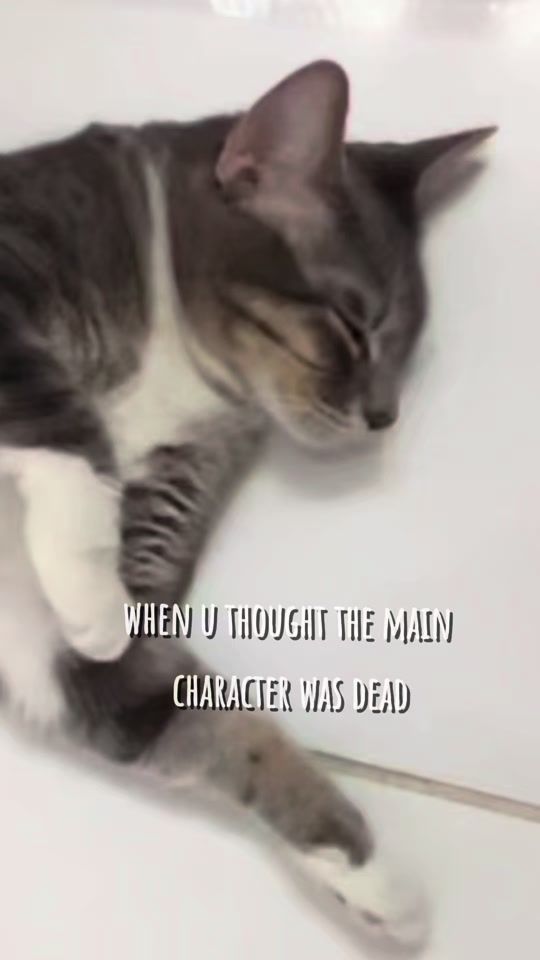 TikTok video thumbnail by usermartinmedrano