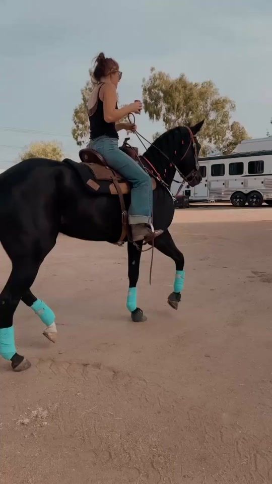 TikTok video thumbnail by barrelracer1597