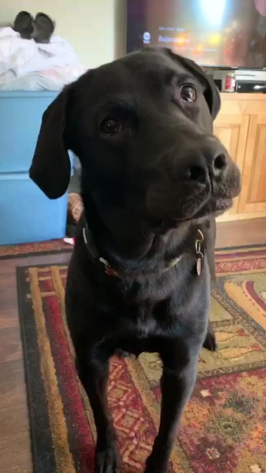 TikTok video thumbnail by imjaxthelab