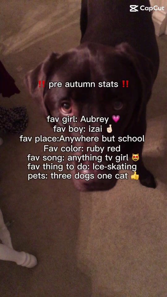 TikTok video thumbnail by bailey_isinsane