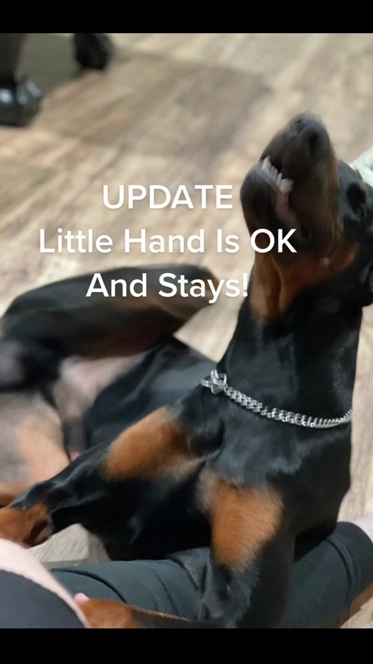 TikTok video thumbnail by kidginger419
