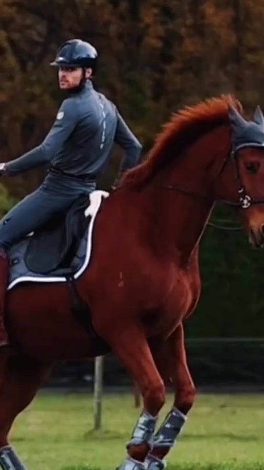 TikTok video thumbnail by equineedits.official