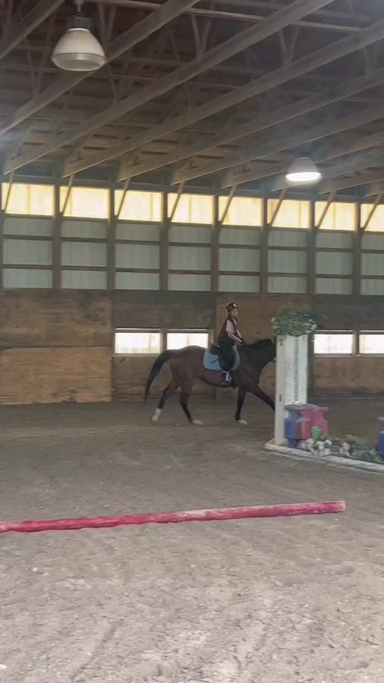 TikTok video thumbnail by autumndathoroughbred