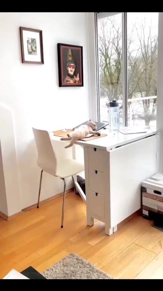 TikTok video thumbnail by migt_catff