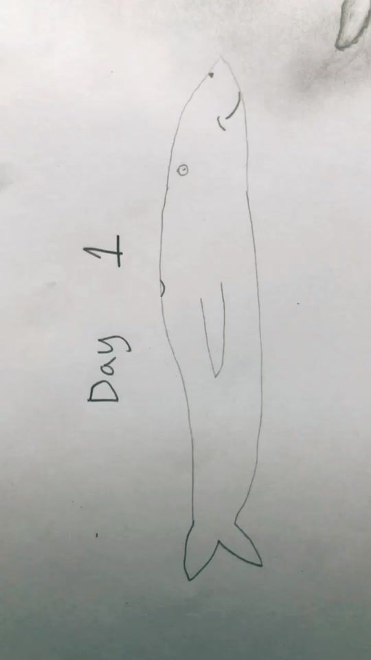 TikTok video thumbnail by jake.pnw