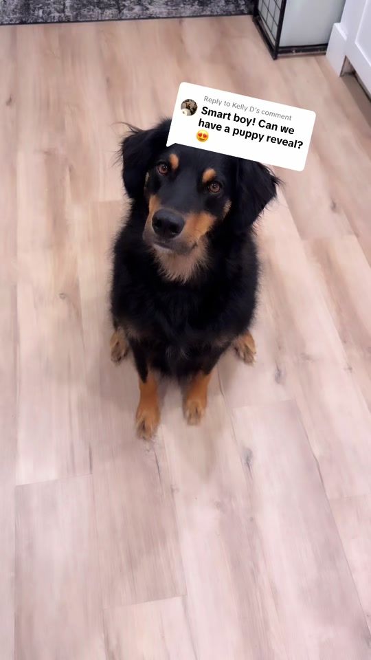 TikTok video thumbnail by allisonthorne8