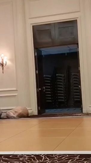 TikTok video thumbnail by marvinchay