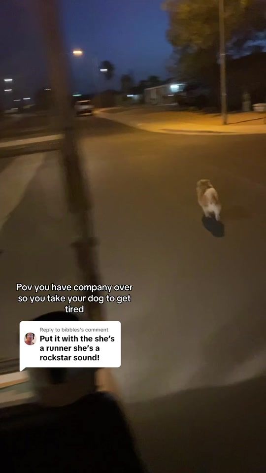 TikTok video thumbnail by xddiescissorhands