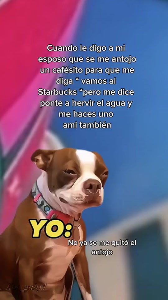 TikTok video thumbnail by ruthmichelleg