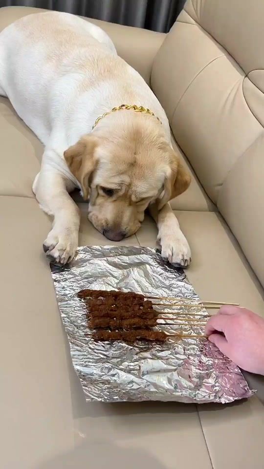 TikTok video thumbnail by kitty_perferred