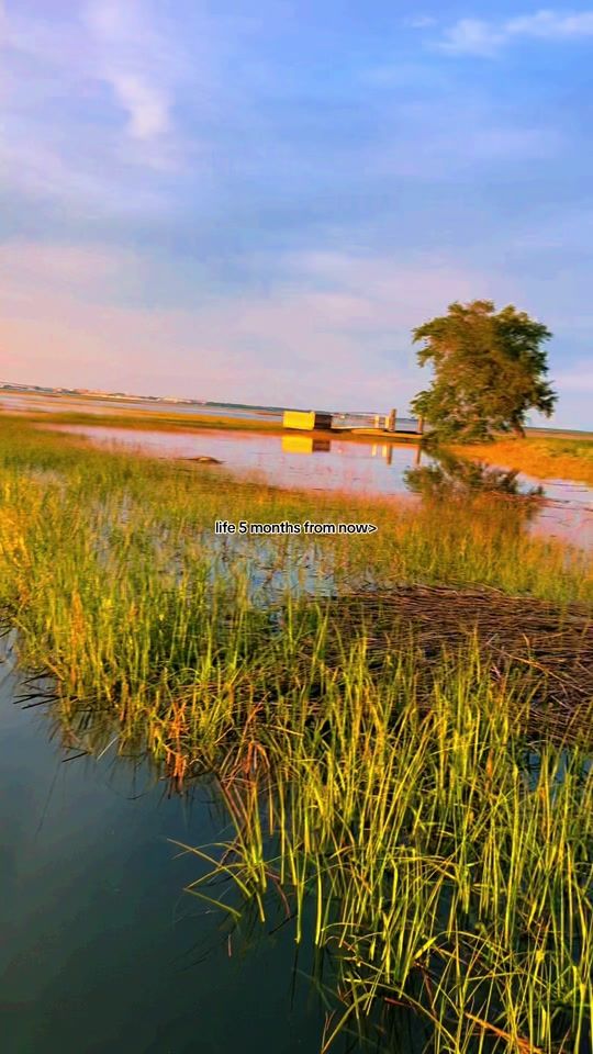 TikTok video thumbnail by carolinafishingco