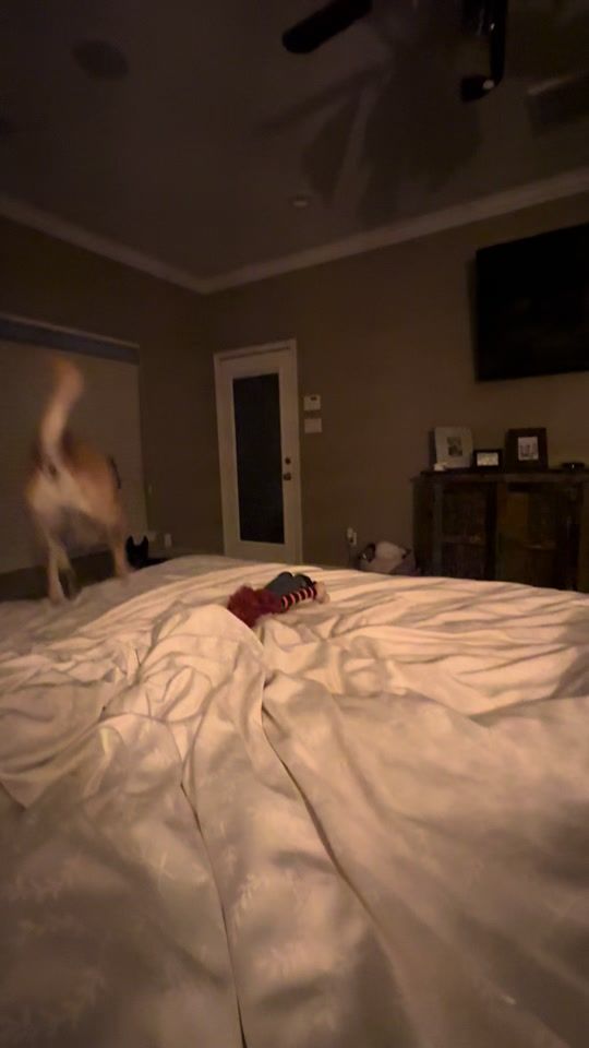TikTok video thumbnail by redmannfive