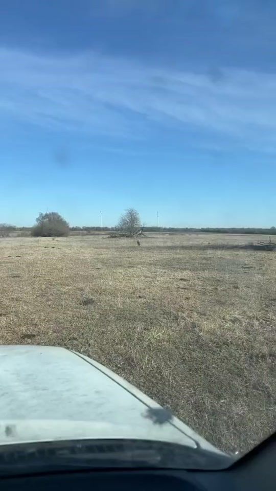 TikTok video thumbnail by pipeliner2