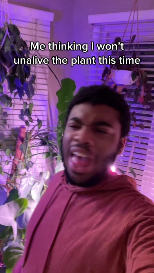 TikTok video thumbnail by ajay.plants