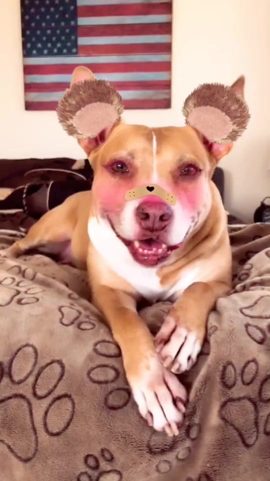 TikTok video thumbnail by flooky