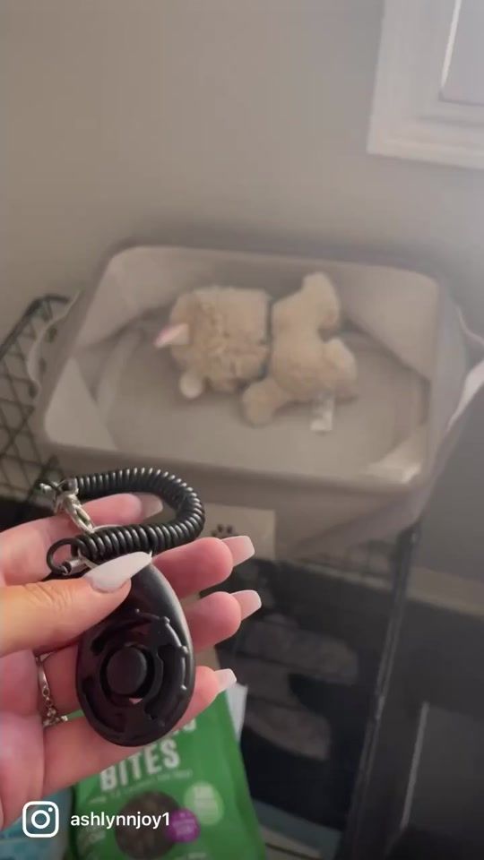 TikTok video thumbnail by ashlynnjoyandcrew