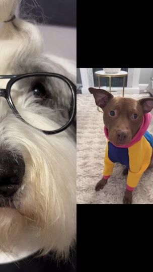 TikTok video thumbnail by rocco