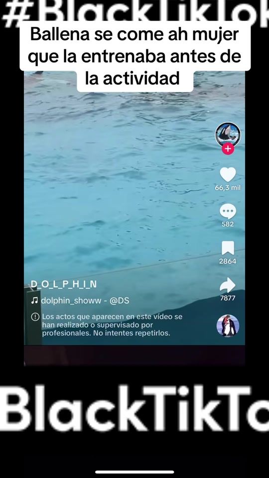 TikTok video thumbnail by jogitoelyoryi2