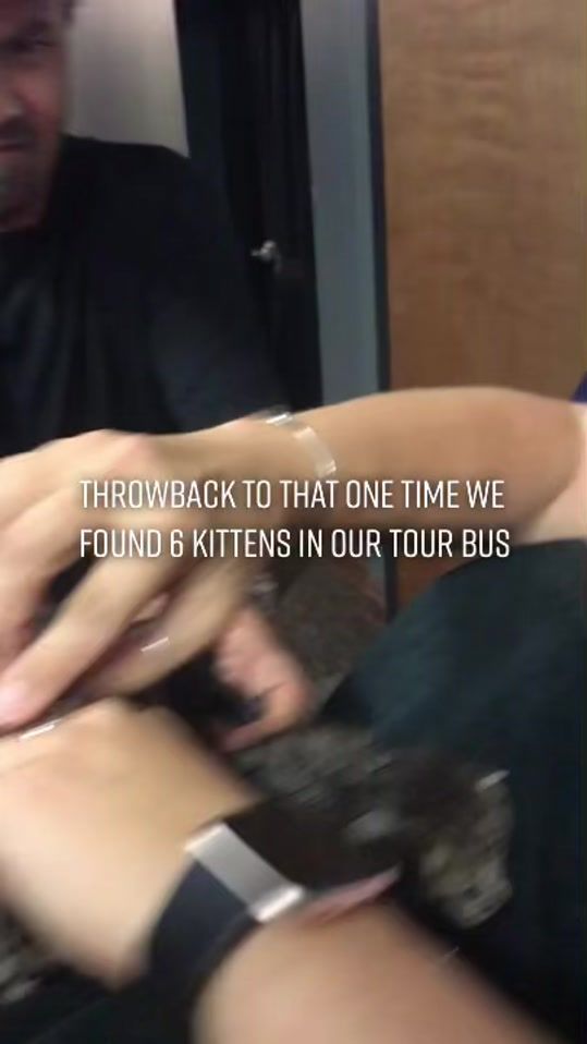 TikTok video thumbnail by sisterhazelband