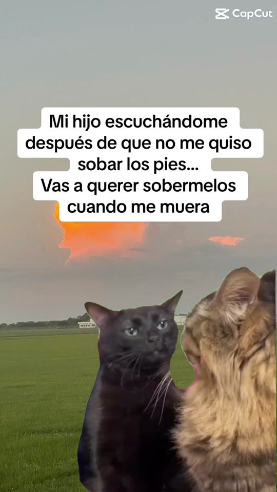 TikTok video thumbnail by sandra_e31