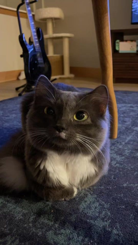 TikTok video thumbnail by booogu