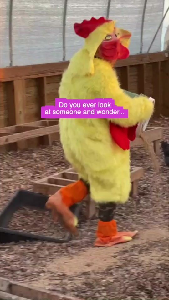 TikTok video thumbnail by farmintern