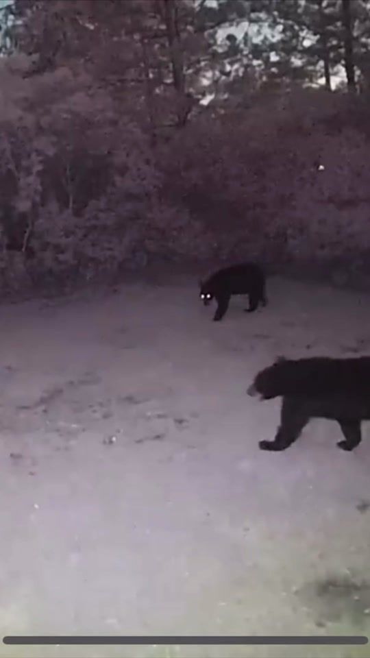 TikTok video thumbnail by jaffycreeks