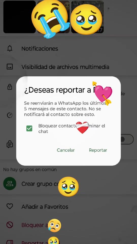 TikTok video thumbnail by chechalopez18