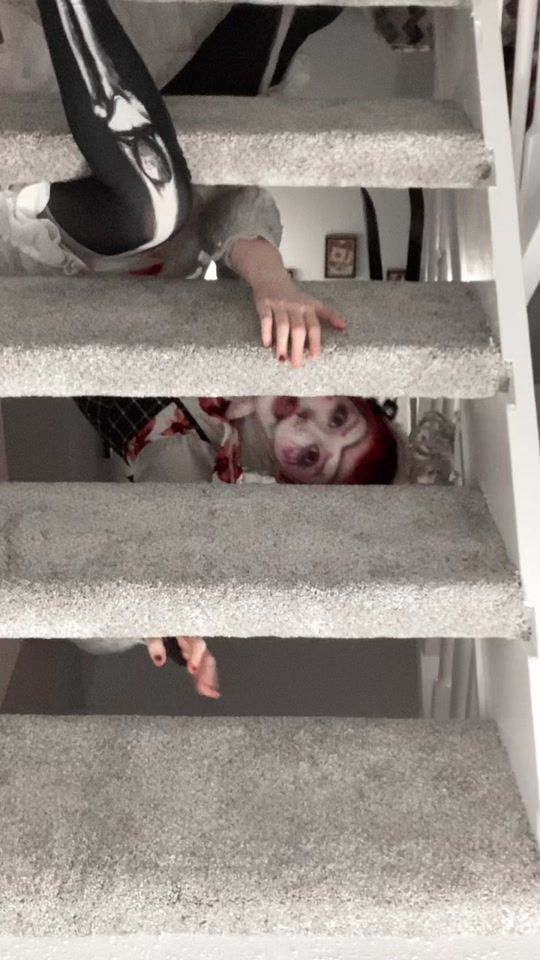 TikTok video thumbnail by luvrwulf