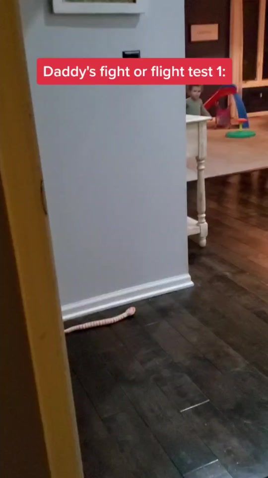 TikTok video thumbnail by rudylechuga