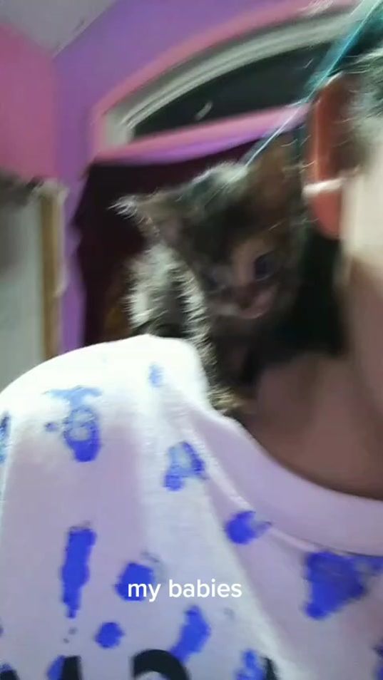 TikTok video thumbnail by hisonly0911