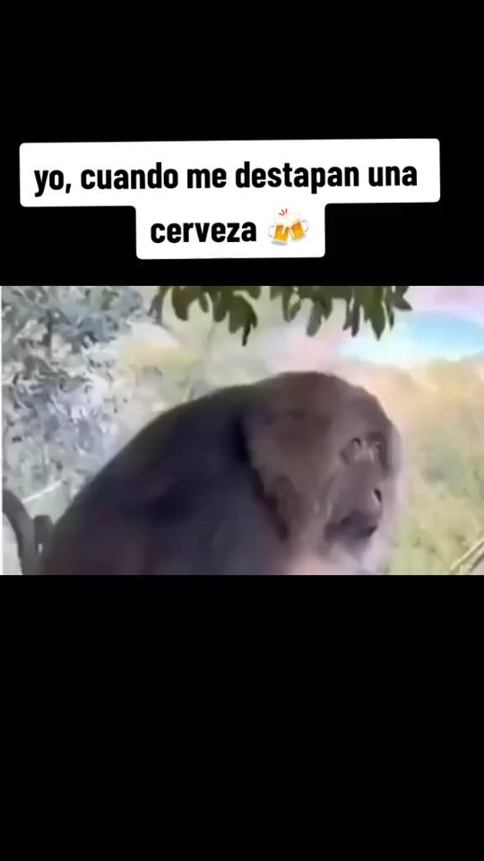 TikTok video thumbnail by uri_10_0