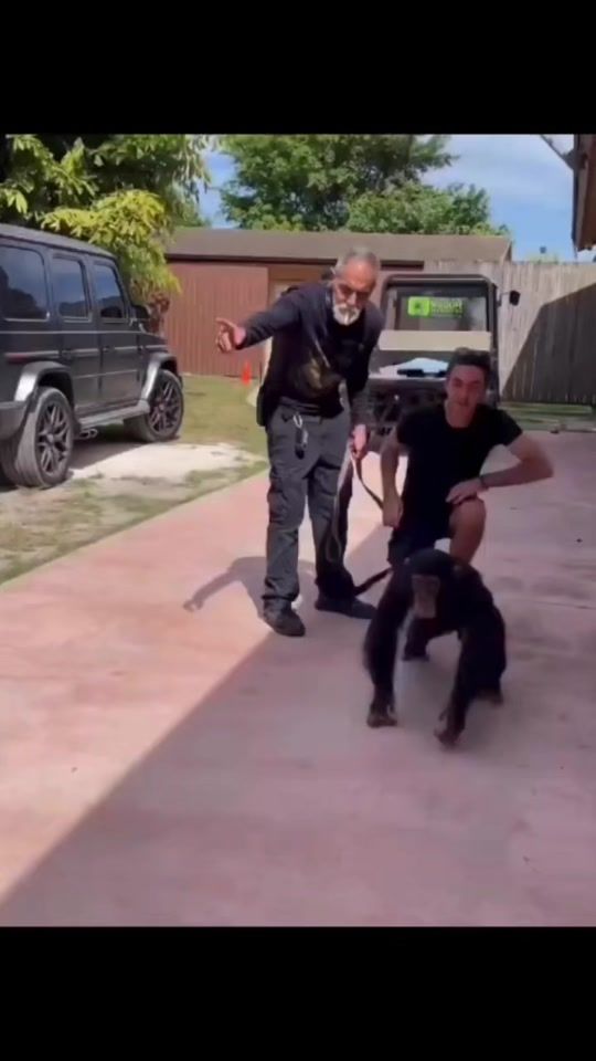 TikTok video thumbnail by lyson_2000
