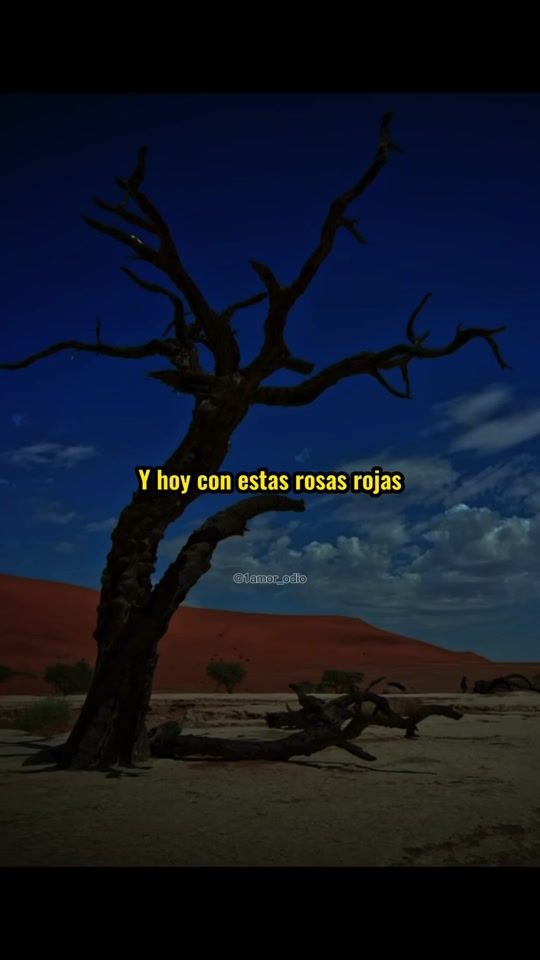 TikTok video thumbnail by 1amor_odio