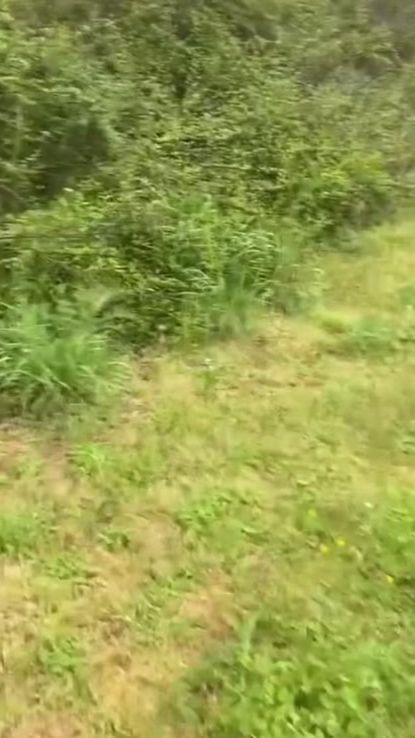 TikTok video thumbnail by ashleyperry1125