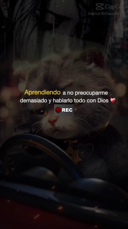 TikTok video thumbnail by angely_lachapina