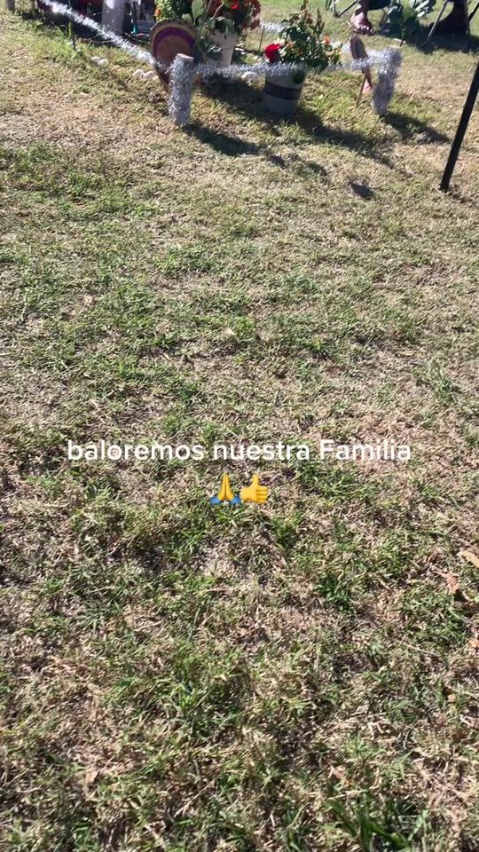 TikTok video thumbnail by david.rodriguezrodriguez