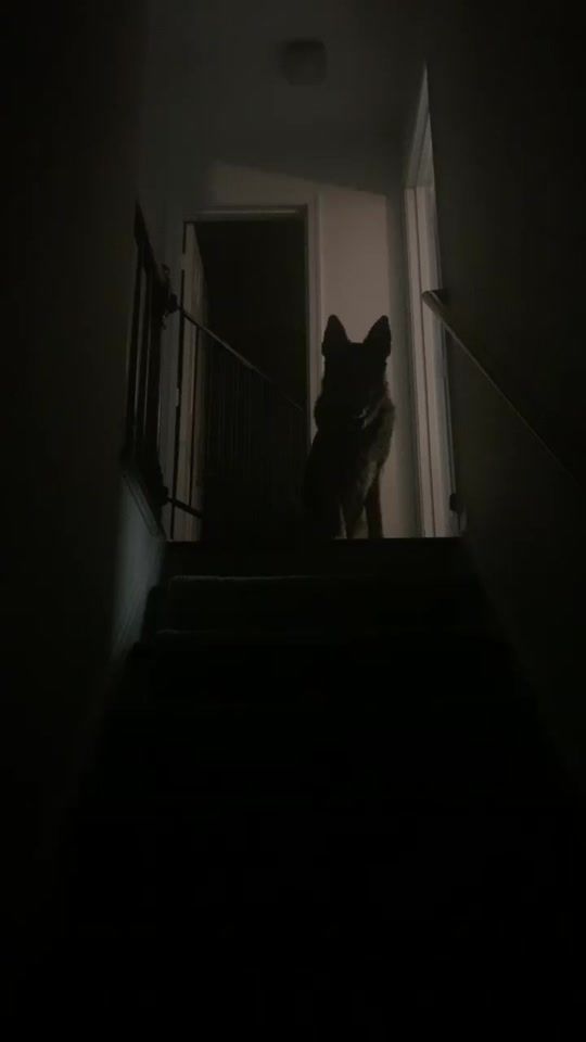 TikTok video thumbnail by topgunk9s