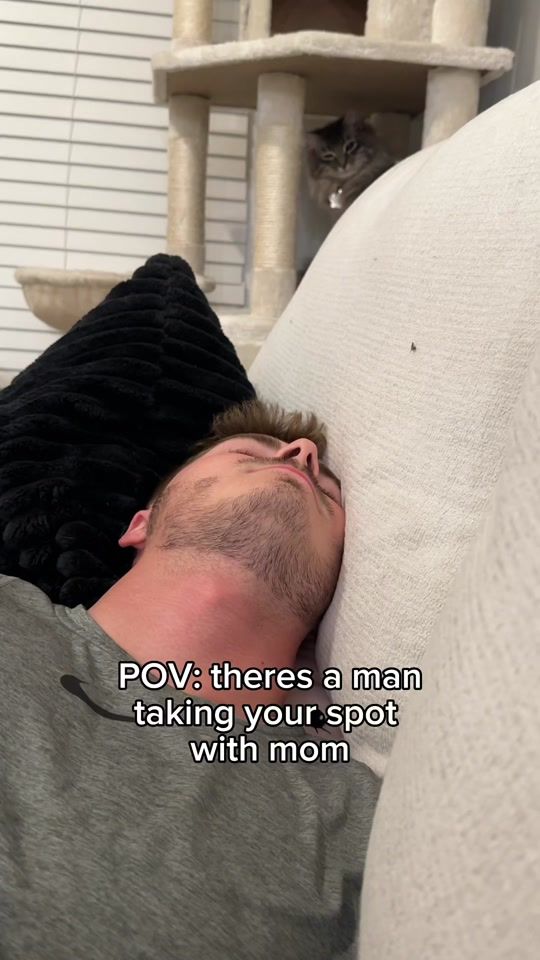 TikTok video thumbnail by zeuszythegoosey