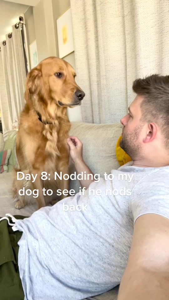 TikTok video thumbnail by travisrobinson.m