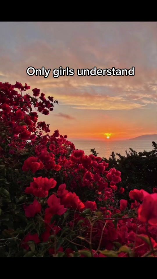 TikTok video thumbnail by only..girls_no_boys