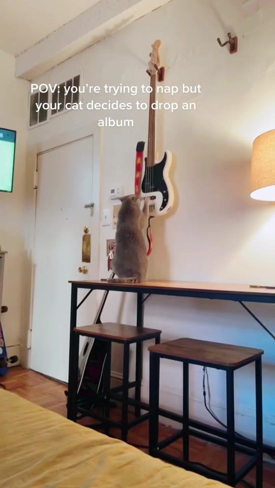 TikTok video thumbnail by lucyleaftea