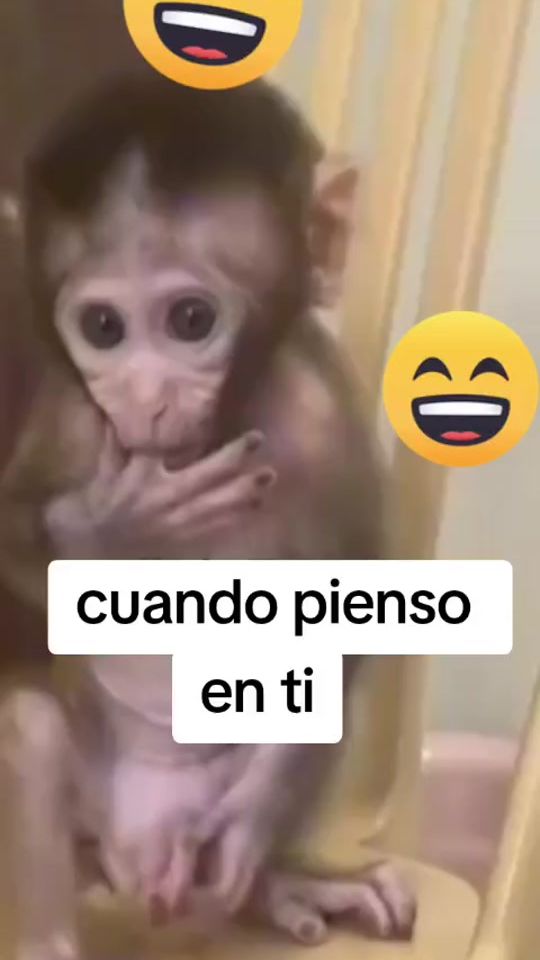 TikTok video thumbnail by cflor335