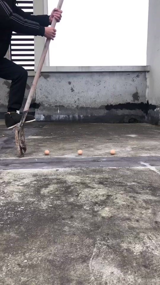 TikTok video thumbnail by pet111112